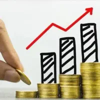 شریک و سرمایه گذار