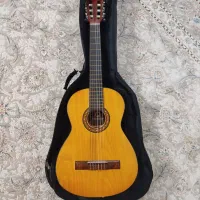 گیتار ۲/۴ کاکرده
