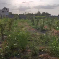 فروش باغ روستای زیبا وسرسبز والش آباد|فروش زمین و ملک کلنگی|گرگان, |دیوار