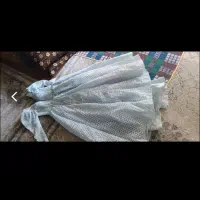 لباس عروس رنگی و پفی نو