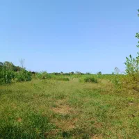 1100متر زمین باغی خمام انزلی رشت