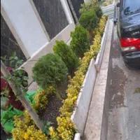 خدمات باغبانی کوددهی گلکاری کاشت گل هرس درختان|خدمات باغبانی و درختکاری|اسلام‌شهر, شهرک قائمیه|دیوار