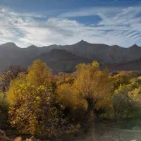 اجاره ۶۰متره  ۸۰میلیو  مهدیشهر