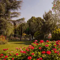 باغ تالار دلتورینو ـ آجودانیه