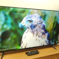 ال ای دی۵۵اینج اولیو فورکی اسمارت هوشمند درحدصفر