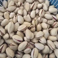 پسته احمد آقایی