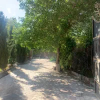 باغ-بر-جاده-اصلی-روستای-جار