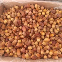 زاهدی /خرما