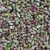 خرید پوک وکمرابی وشکسته پوک