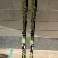 چوب اسکی الپاین