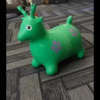 اسب شیک قشنگ