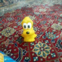 یک توله سگ پیدا شده