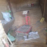 خرید گندم و جو