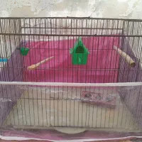 قفس پرنده سایز ۵۲