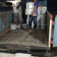 نوار تیپ قطری|خدمات باغبانی و درختکاری|برازجان, |دیوار