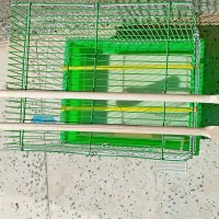 وسایل مورد نیاز طوطی|لوازم جانبی حیوانات|همدان, |دیوار