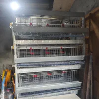 قفس بلدرچین