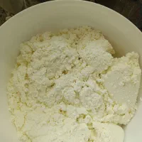 شیراز مخصوص کشک