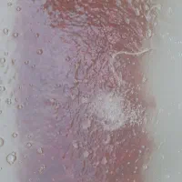 ماهی قرمز|ماهی|گنبد کاووس, |دیوار