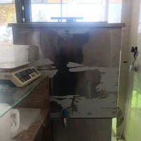 وسایل لبنیاتی|یخچال و فریزر|رفسنجان, |دیوار