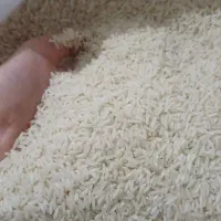 برنج دانه بلند شول آباد|خوردنی و آشامیدنی|اندیمشک, |دیوار