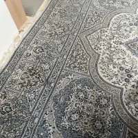 فرش ۱۲ متری|فرش|رضوانشهر, |دیوار