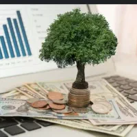 پرداخت سرمایه با چک صیادی