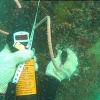 آموزش غواصی صنعتی جوش زیرآب آرگون برق Co2 تراشکاری|خدمات آموزشی|کرمانشاه, |دیوار