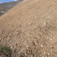 یک قطعه زمین کشاورزی