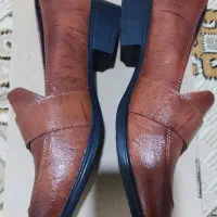 کفش نو زنانه|کیف، کفش، کمربند|دورود, |دیوار