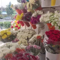 گل فروشی|خدمات پذیرایی، مراسم|نیشابور, تختی|دیوار