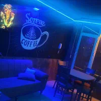 میزو صندلی چوبی با میز پیشخوان