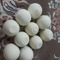 ده عدد سنگ الماس  سفید