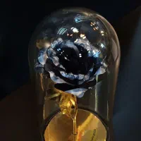 فروش مستقیم انواع گل رز طلایی (عمده و تک)