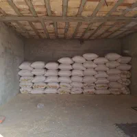 به یک عدد کارگر ساده برای فروشندگی در مغازه