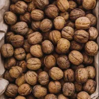 گردوی با پوست