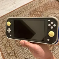 Nintendo lite