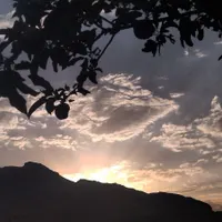 جویای کار
