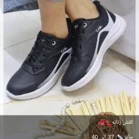 کفش اسپرت و مجلسی|کیف، کفش، کمربند|یاسوج, |دیوار