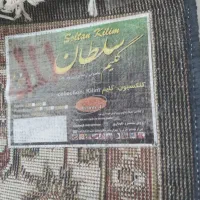 گلیم فرش سورمه ای|گلیم، جاجیم، گبه|کرمانشاه, |دیوار