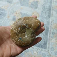 سنگ فسیل حلزونی