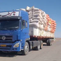 کاه گندم دیمه نرم