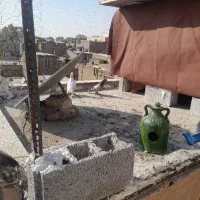 یه جفت کفتر آلمانی مسافتی|پرنده|پاکدشت, خاتون آباد|دیوار