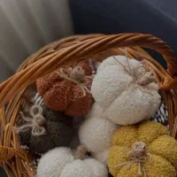 کدوهای پارچه ای فانتزی|صنایع دستی و سایر لوازم تزئینی|تهران, آهنگران (سراسیاب دولاب)|دیوار