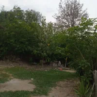 ویلا-اجاره-ای-کوه-پایه