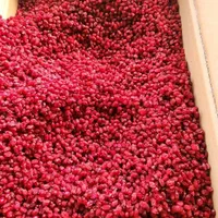 زرشک پفکی درجه ۱ فروش عمده|خوردنی و آشامیدنی|تهران, گیشا|دیوار