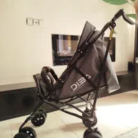 کالسکه دلیجان