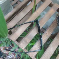 عینک دودی پسرانه|زیورآلات و اکسسوری|اصفهان, گلستان|دیوار