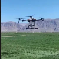 کوت عبدالله