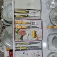 چاقو میوه خوری طرح سرامیکی 12 عددی یونیک